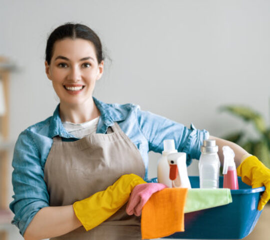 Domestic Helper